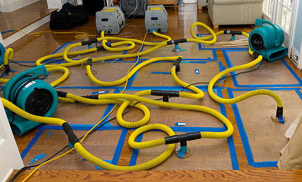 Professional Water Damage Restoration technician working in West Unity, OH